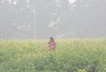 Photo of पंजाब में शीतलहर से गिरा पारा, तापमान में 2 डिग्री तक