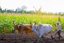 Photo of हरियाणा में किसानों के लिए हाई-टेक सर्वे शूरु