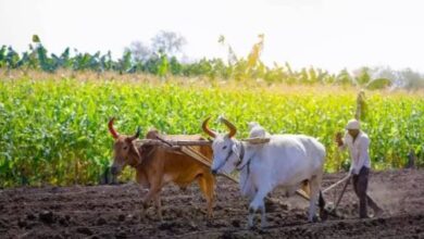 Photo of हरियाणा में किसानों के लिए हाई-टेक सर्वे शूरु