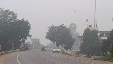 Photo of दित्वाह चक्रवात का असर बिहार में भी, कई जगह कोहरे से राहगीर परेशान