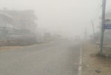 Photo of पंजाब में घने कोहरे का अलर्ट: तापमान में भी आएगी गिरावट