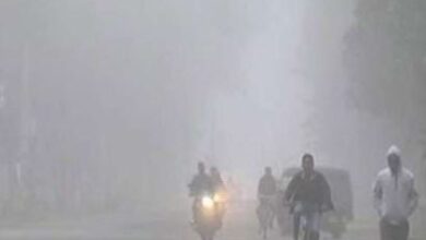 Photo of ओडिशा में ठंड दिखाने लगी असली रंग, 4 डिग्री तक लुढ़का उदयगिरी का पारा