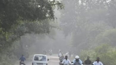 Photo of शेखावाटी में फिर लौटेगी ठिठुरन, 10 और 11 दिसंबर को चलेगी कोल्ड वेव