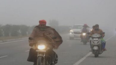 Photo of पंजाब में शीतलहर और कोहरे की दोहरी मार