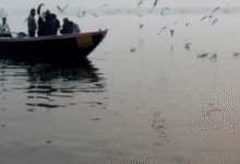 Photo of पूरा प्रदेश में ठंड और कोहरे की चपेट में, इन 20 जिलों के लिए जारी हुआ रेड अलर्ट