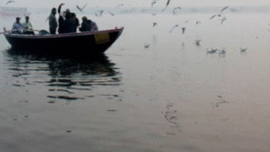 Photo of पूरा प्रदेश में ठंड और कोहरे की चपेट में, इन 20 जिलों के लिए जारी हुआ रेड अलर्ट
