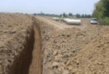 Photo of राजस्थान में ‘सेम’ की बढ़ती मार; 2 लाख हेक्टेयर कृषि भूमि प्रभावित