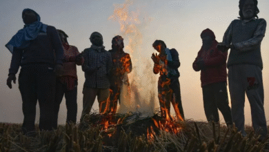 Photo of झारखंड में हाड़ कंपकंपाती ठंड जारी, कई जिलों में तापमान 4-6 डिग्री तक गिरा