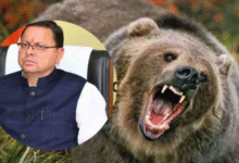 Photo of देवभूमि में भालू का आतंक !