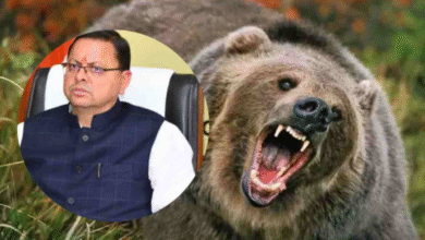 Photo of देवभूमि में भालू का आतंक !