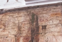 Photo of पुरी जगन्नाथ मंदिर की सुरक्षा दीवार ही असुरक्षित, दरारों से रिसता है ड्रेनेज का पानी