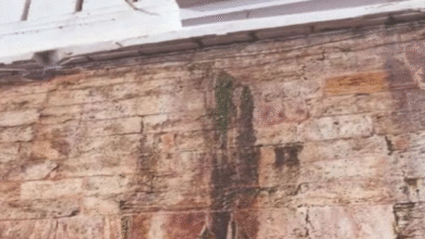 Photo of पुरी जगन्नाथ मंदिर की सुरक्षा दीवार ही असुरक्षित, दरारों से रिसता है ड्रेनेज का पानी