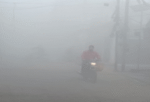 Photo of घने कोहरे की चपेट में पंजाब: शीतलहर से कंपकंपाए लोग, फरीदकोट सबसे ठंडा