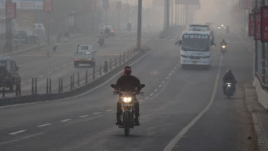 Photo of  हिमालय की बर्फबारी का असर,  मध्यप्रदेश में कड़ाके की ठंड