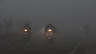 Photo of कोहरे की वजह से विजिबिलिटी जीरो, इस जिले का न्यूनतम तापमान 6℃ सेल्सियस किया गया दर्ज
