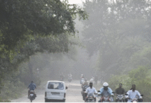 Photo of मध्यप्रदेश में कड़ाके की सर्दी का प्रकोप, पारा 4 डिग्री से नीचे