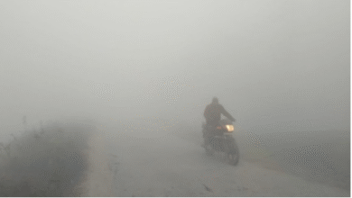 Photo of राजस्थान में न्यू ईयर सेलिब्रेशन पर मौसम का असर