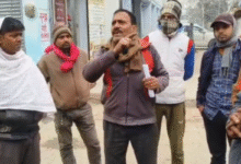 Photo of अर्थी से उतारा गया नव विवाहिता का शव; श्मशान घाट से पति-ससुर गिरफ्तार, बाकी घर बंद कर फरार