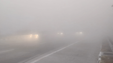 Photo of राजस्थान में ठंड और कोहरे के बाद मावठ की एंट्री
