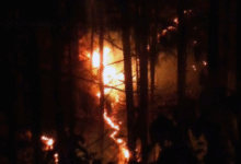 Photo of उत्तराखंड हाईकोर्ट ने जंगल की आग पर विशेषज्ञों से मांगा मार्गदर्शन