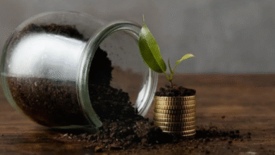 Photo of 20 साल बाद 1 करोड़ रुपए का फंड तैयार करने के लिए कितने रुपए की एसआईपी करनी होगी?