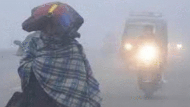 Photo of हरियाणा में ठंड से जन-जीवन अस्त-व्यस्त, 8 जिलों में छाई धुंध…जानें कल कैसा रहेगा मौसम