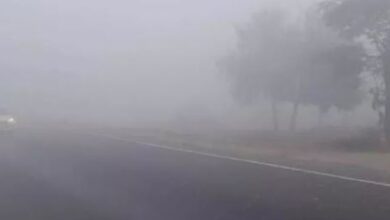 Photo of बर्फीली हवाएं, घना कोहरा…आज झारखंड में ऐसा रहने वाला है मौसम
