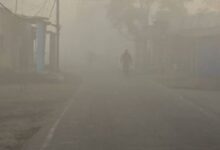 Photo of मध्य प्रदेश में सबसे ठंडा रहा शहडोल, लगातार पारा 4 डिग्री के आसपास