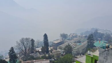 Photo of   उत्तराखंड: पहाड़ों में पाला तो मैदान में शीतलहर बढ़ा रही ठंड