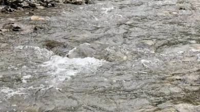 Photo of पौड़ी और नैनीताल की तीन नदियों को मिलेगा नया जीवन, शासन ने दी 5.19 करोड़ रुपये की स्वीकृति