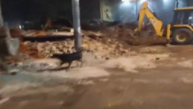 Photo of अतिक्रमण हटाने के लिए फैज-ए-इलाही मस्जिद के पास चला बुलडोजर