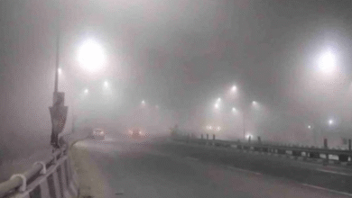 Photo of  घने कोहरे की चादर में लिपटा हरिद्वार-दिल्ली नेशनल हाईवे