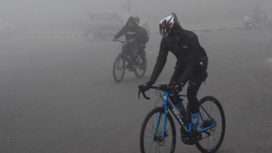 Photo of शीतलहर से ठिठुरा पंजाब: घने काेहरे ने घटाई दृश्यता, माैसम विभाग ने जारी किया छह दिनों का अलर्ट