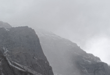 Photo of बारिश-बर्फबारी की बेरुखी का असर, छह जिलों में घने कोहरे की चेतावनी