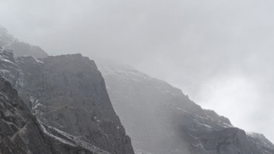 Photo of बारिश-बर्फबारी की बेरुखी का असर, छह जिलों में घने कोहरे की चेतावनी