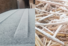 Photo of झारखंड में शिमला से भी ज्यादा ठंड, माइनस 2 डिग्री तक लुढ़का मैक्लुस्कीगंज का पारा