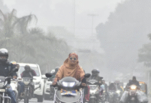 Photo of गलनभरी ठंड का कहर जारी, 15 से ज्यादा जिले कोहरे की गिरफ्त में, बेहाल हुए लोग
