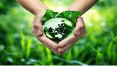 Photo of राजस्थान में ‘ग्रीन क्रेडिट’ नीति लागू; पर्यावरण संरक्षण निवेश पर नकद छूट