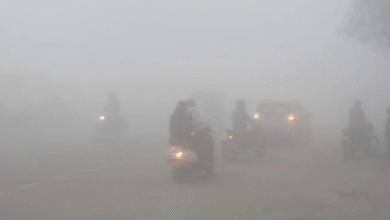 Photo of पंजाब में कड़ाके की ठंड: घने कोहरे से विजिबिलिटी शून्य, अमृतसर में लैंड नहीं हुई फ्लाइट्स