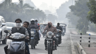 Photo of कोहरे की गिरफ्त में मध्यप्रदेश, दिन में भी बढ़ी ठिठुरन