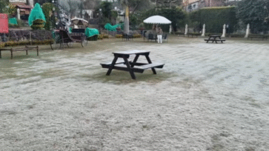 Photo of राजस्थान में बर्फीली हवाओं से बढ़ी ठिठुरन, सीजन का सबसे ठंडा दिन और रात