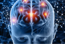 Photo of सिर्फ ‘आदत’ नहीं है बार-बार एक ही गलती दोहराना, दिमाग की सूजन हो सकती है इसकी असली वजह