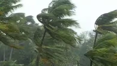 Photo of मौसम विभाग ने 17 राज्यों में मूसलाधार बारिश का जारी किया अलर्ट.